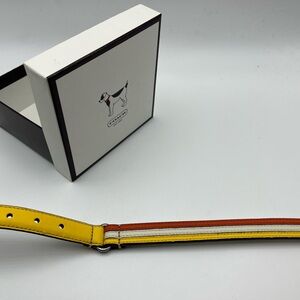 Coach Vibrant Yellow and Orange Dog Collar